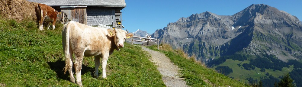 Ben Gooden – Ecological Research