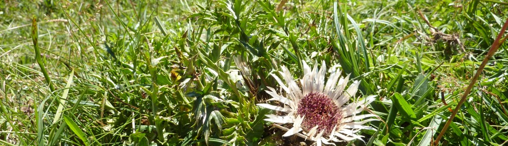 Ben Gooden – Ecological Research