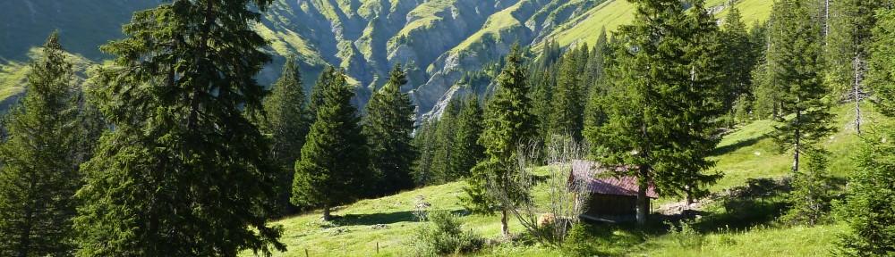 Ben Gooden – Ecological Research