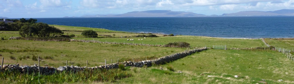 Ben Gooden – Ecological Research