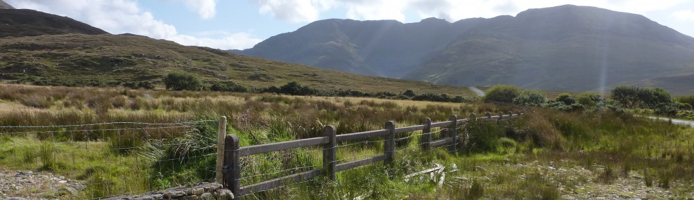 Ben Gooden – Ecological Research