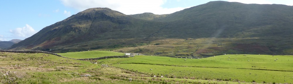 Ben Gooden – Ecological Research