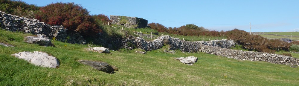 Ben Gooden – Ecological Research