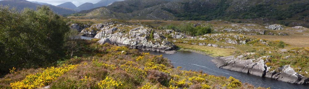 Ben Gooden – Ecological Research