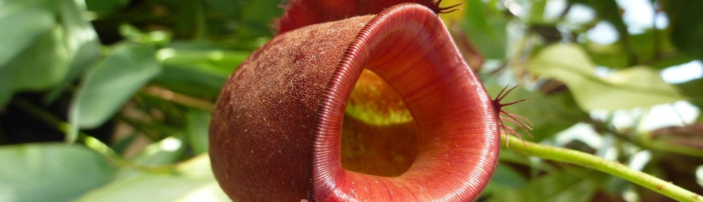 Ben Gooden – Ecological Research