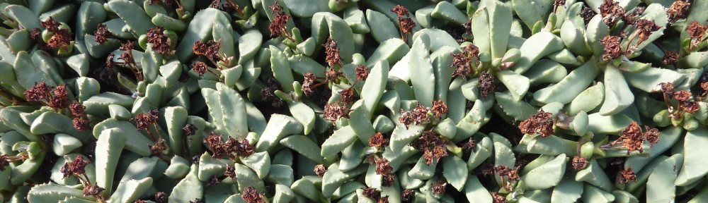 Ben Gooden – Ecological Research