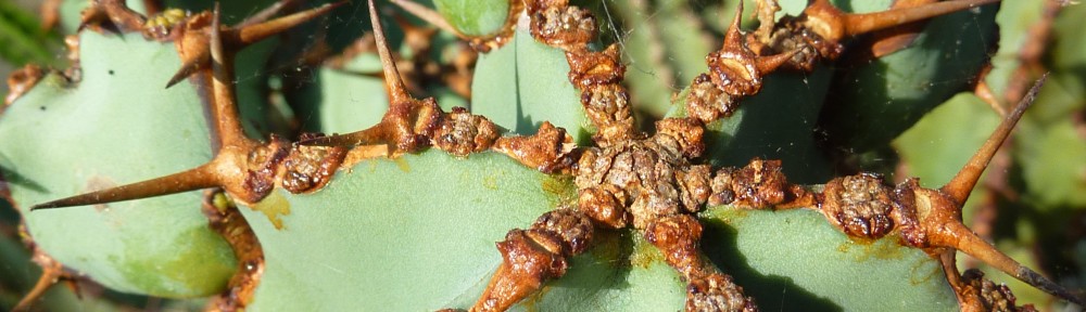 Ben Gooden – Ecological Research