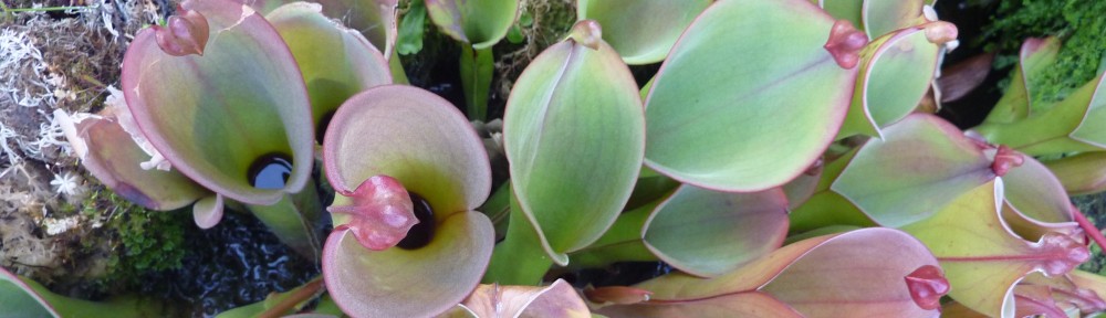 Ben Gooden – Ecological Research