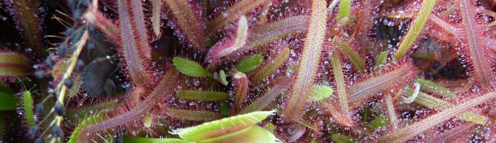 Ben Gooden – Ecological Research