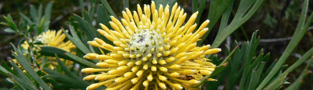 Ben Gooden – Ecological Research