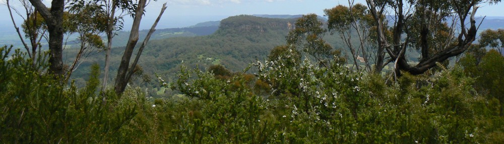 Ben Gooden – Ecological Research