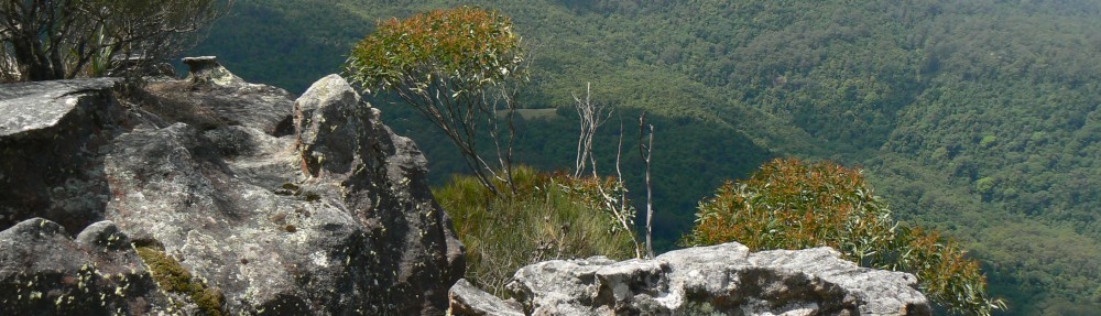 Ben Gooden – Ecological Research