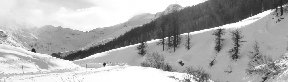 Ben Gooden – Ecological Research