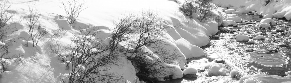 Ben Gooden – Ecological Research