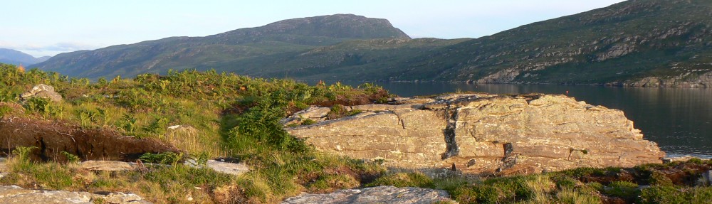 Ben Gooden – Ecological Research