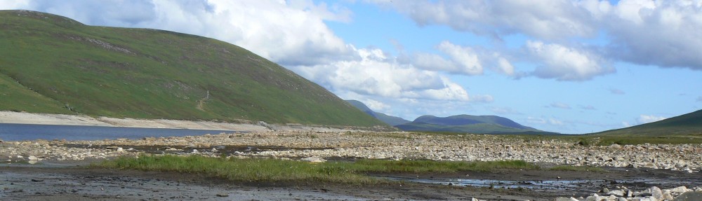 Ben Gooden – Ecological Research