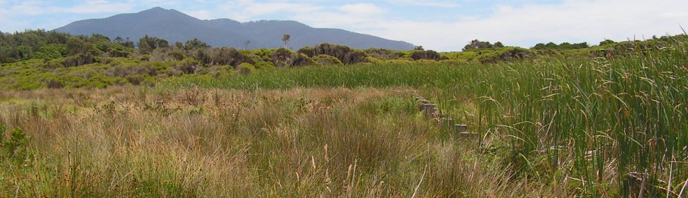 Ben Gooden – Ecological Research