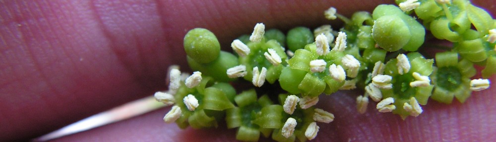 Ben Gooden – Ecological Research