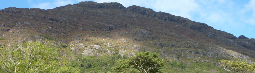 Ben Gooden – Ecological Research