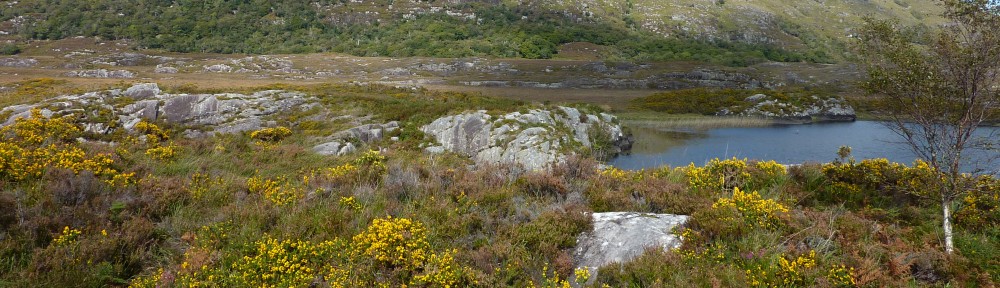 Ben Gooden – Ecological Research