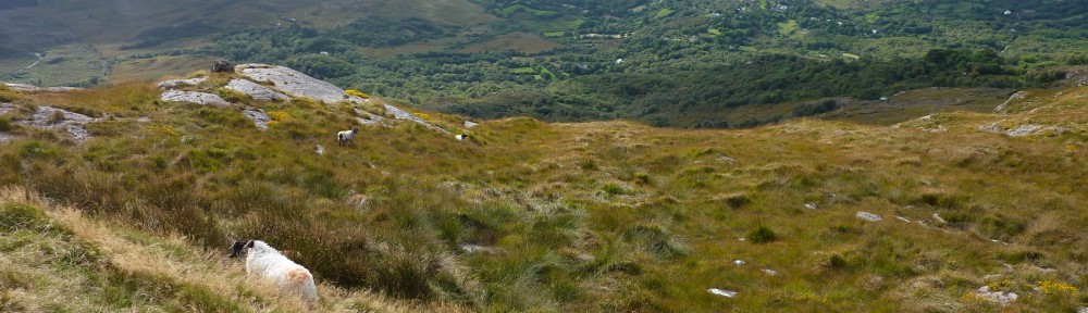 Ben Gooden – Ecological Research