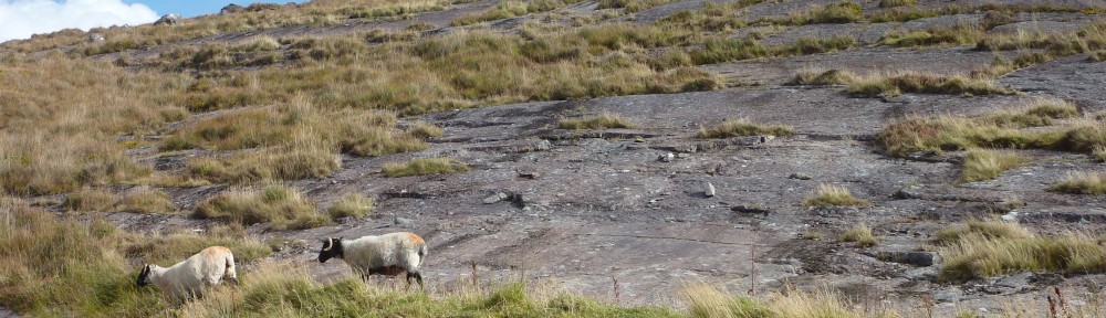 Ben Gooden – Ecological Research