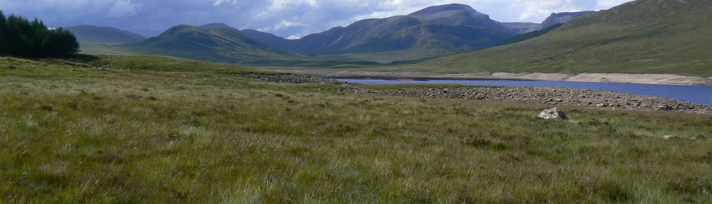 Ben Gooden – Ecological Research