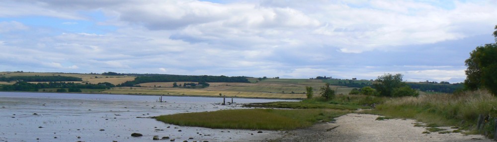 Ben Gooden – Ecological Research