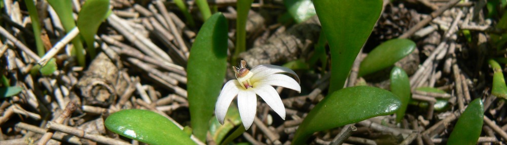 Ben Gooden – Ecological Research