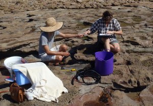 ???????????????????????????????